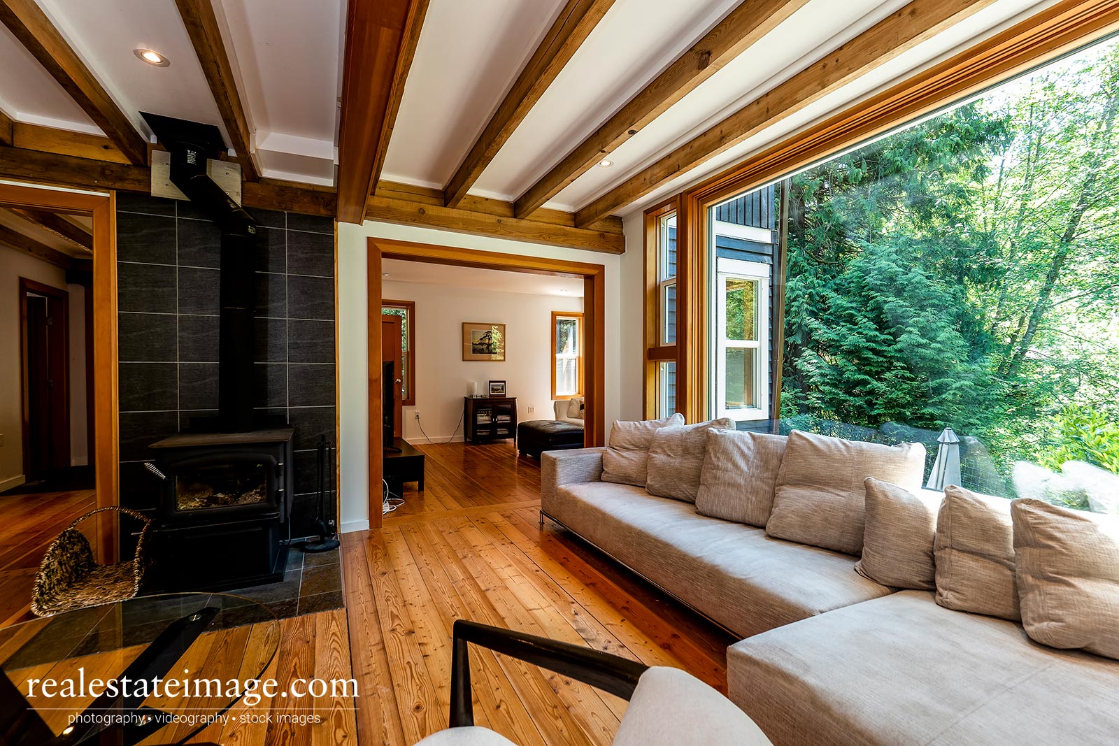 realestateimage.com living room